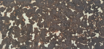 Liège Mural Cream Chocolate - 2